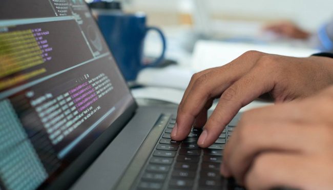 Software Development Services