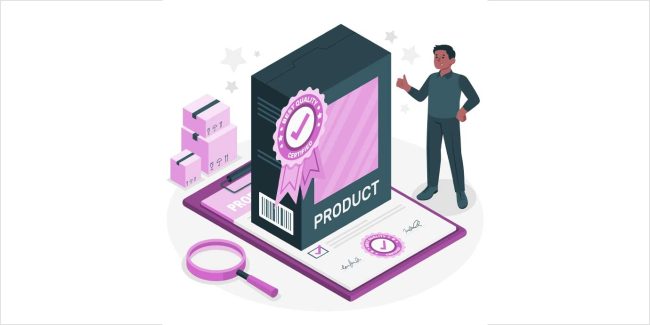 Minimum Viable Product (MVP)